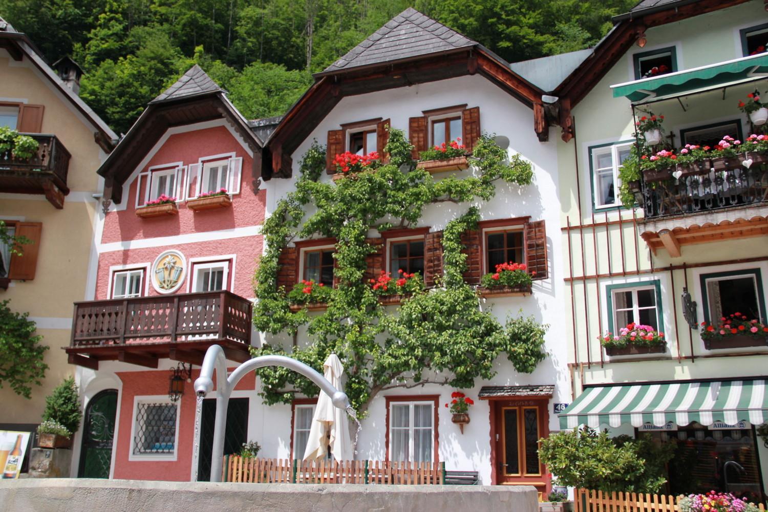 Gamsfeld Russbach am Pass Gschuett