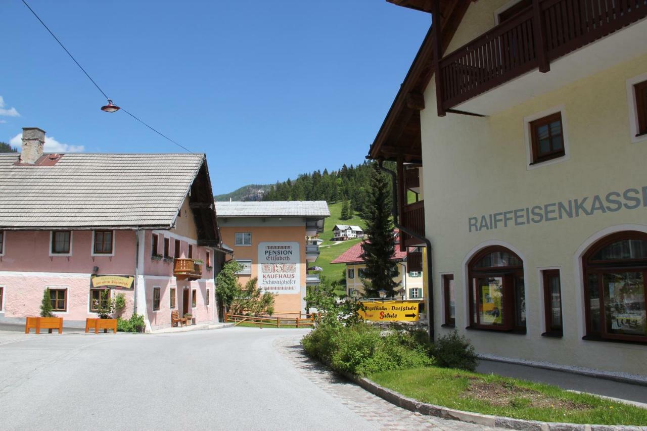 Apartment Gamsfeld *